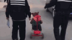 山西：举报食药平安违法案例最高奖励20万；划线